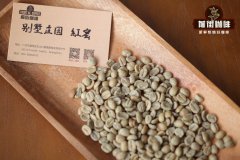 哥斯达黎加红蜜处理咖啡豆风味口感 别墅庄园薇拉萨奇咖啡豆介绍