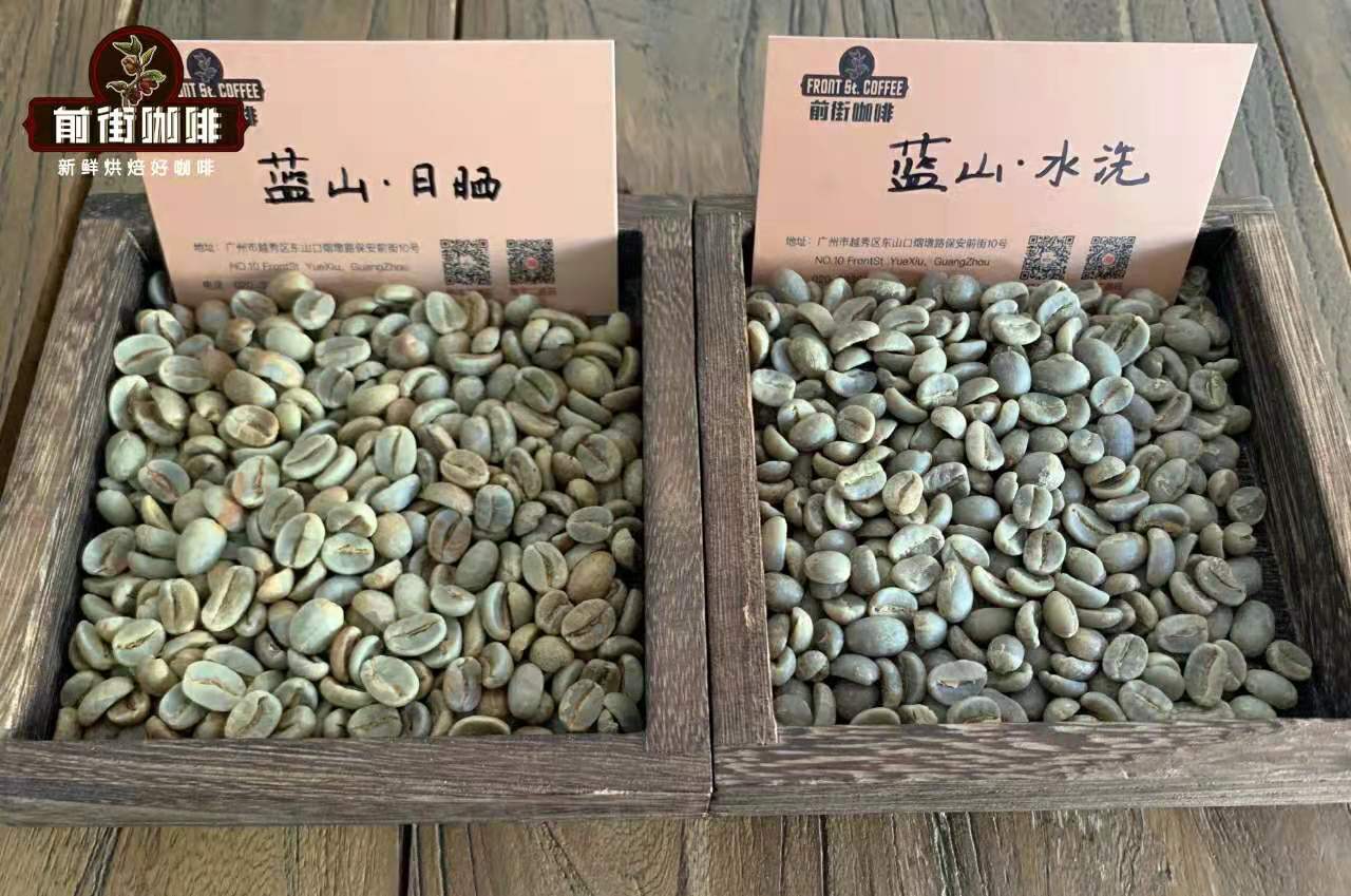 蓝山咖啡豆哪个牌子好？蓝山咖啡豆品种介绍，蓝山咖啡是哪个国家的品牌？
