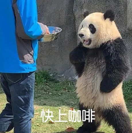 手冲咖啡最好泡多长时间好喝 单品咖啡豆手冲研磨水温比例手法参数教程