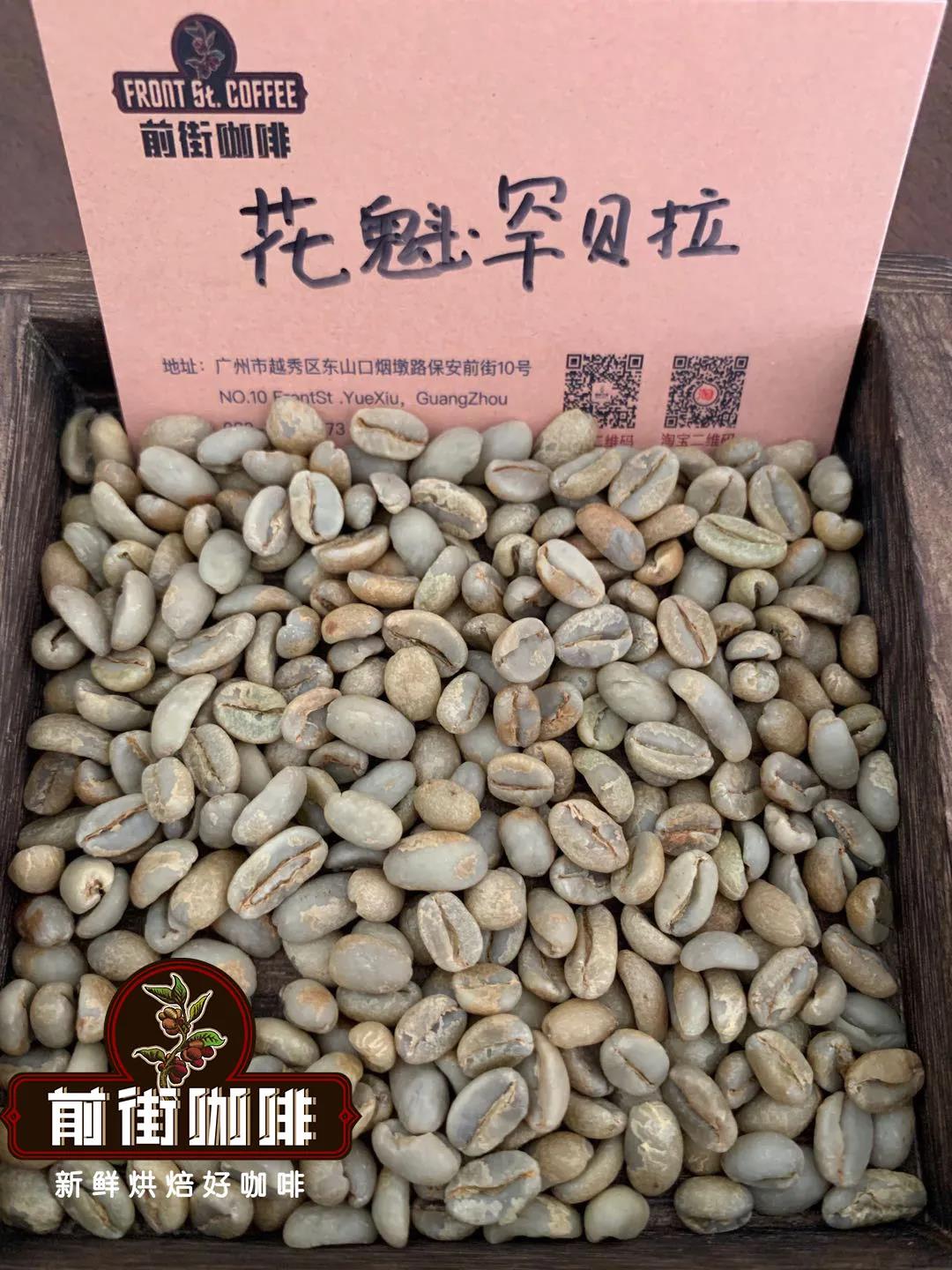  花魁咖啡豆和瑰夏咖啡豆有什么区别？艺妓咖啡豆是什么，花魁咖啡豆是哪产的？