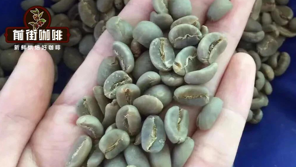 咖啡瑕疵豆是什么？咖啡瑕疵豆的分类和定义。