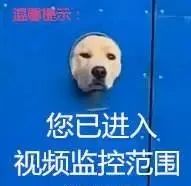 紫砂壶泡咖啡能有效降低苦涩味？！我不是最后一个知道！