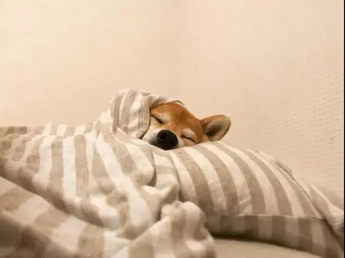 雀巢开设「睡眠咖啡馆」！失眠怎么办？喝杯咖啡吧！