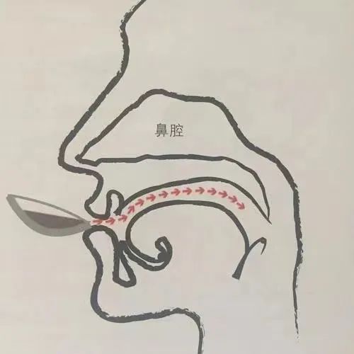 手冲咖啡的正确喝法介绍 杯测啜吸喝法流程作用是什么？