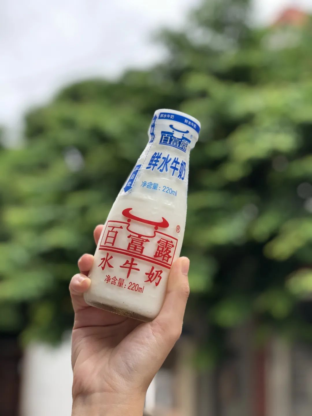 水牛奶测评！玻璃瓶装水牛奶做咖啡好喝吗？鲜牛奶咖啡味道如何