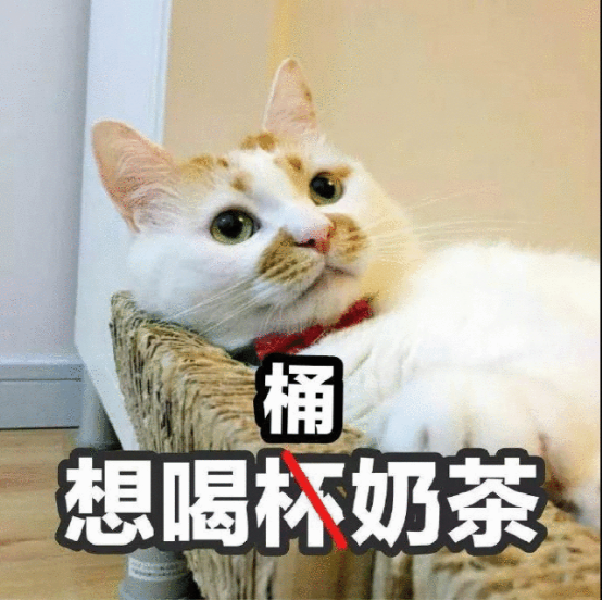 年轻人炫的奶茶，按“桶”算！
