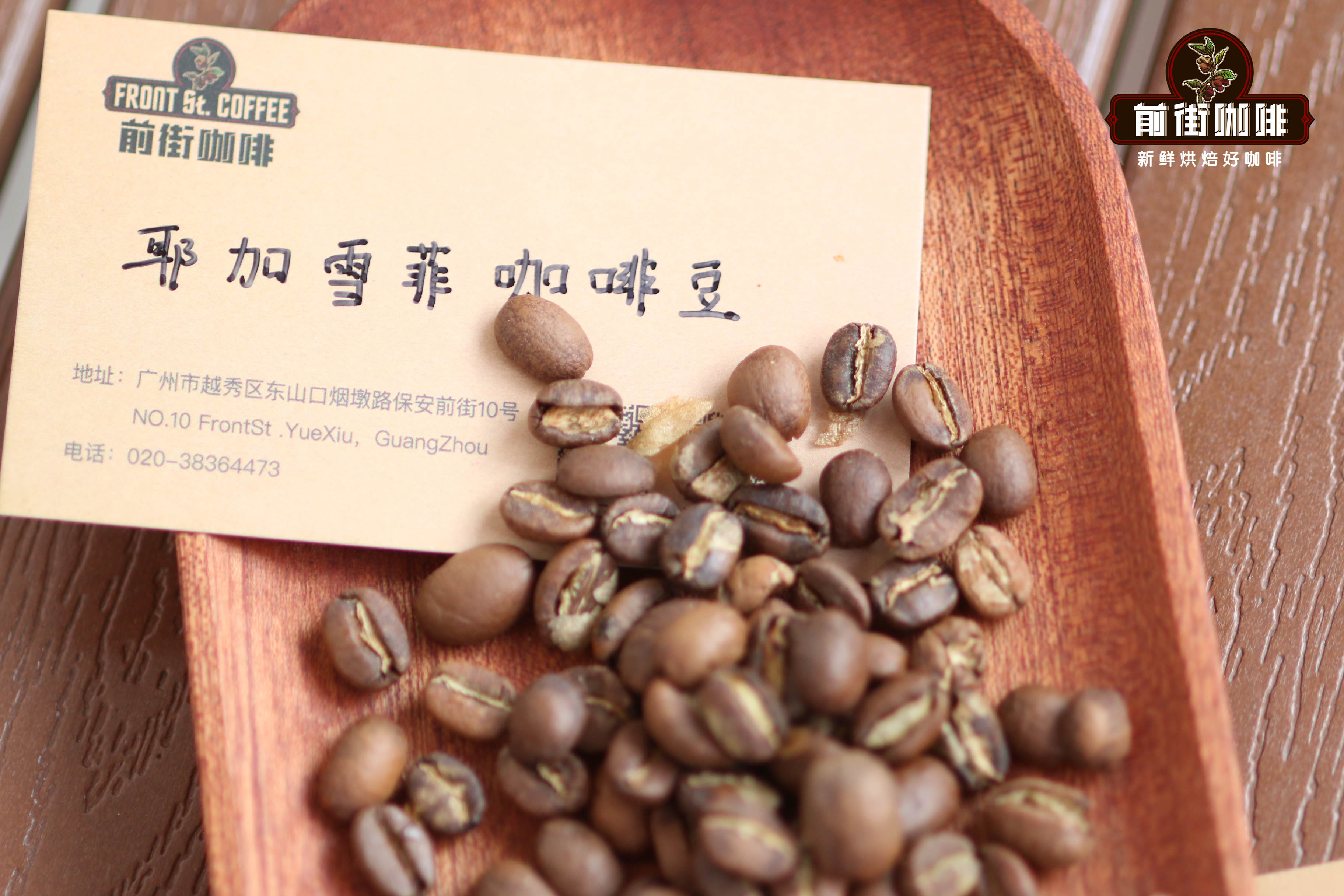 耶加雪菲是什么意思 耶加雪菲是什么咖啡豆品种适合做手冲吗口感描述