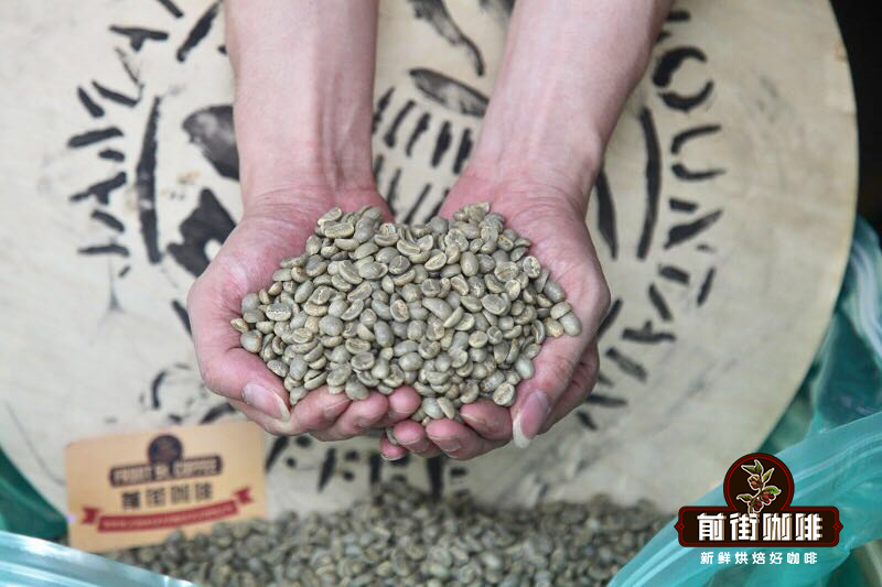 精品蓝山咖啡豆品牌推荐 优越顶级的蓝山一号咖啡豆价格风味口感特点介绍