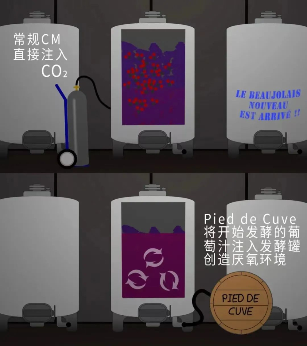 二氧化碳浸渍法的咖啡豆风味特点介绍 咖啡红酒CM处理法过程步骤如何