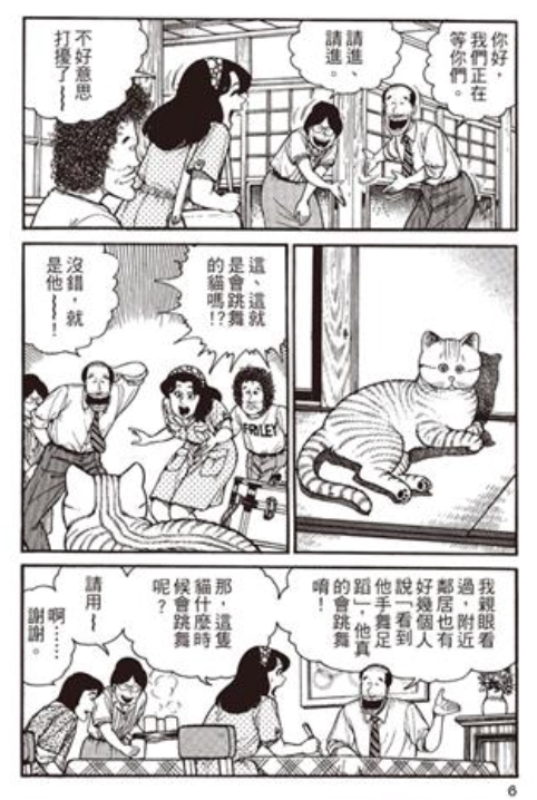 动物咖啡馆，实在太残忍了！开猫咪咖啡馆合法吗？