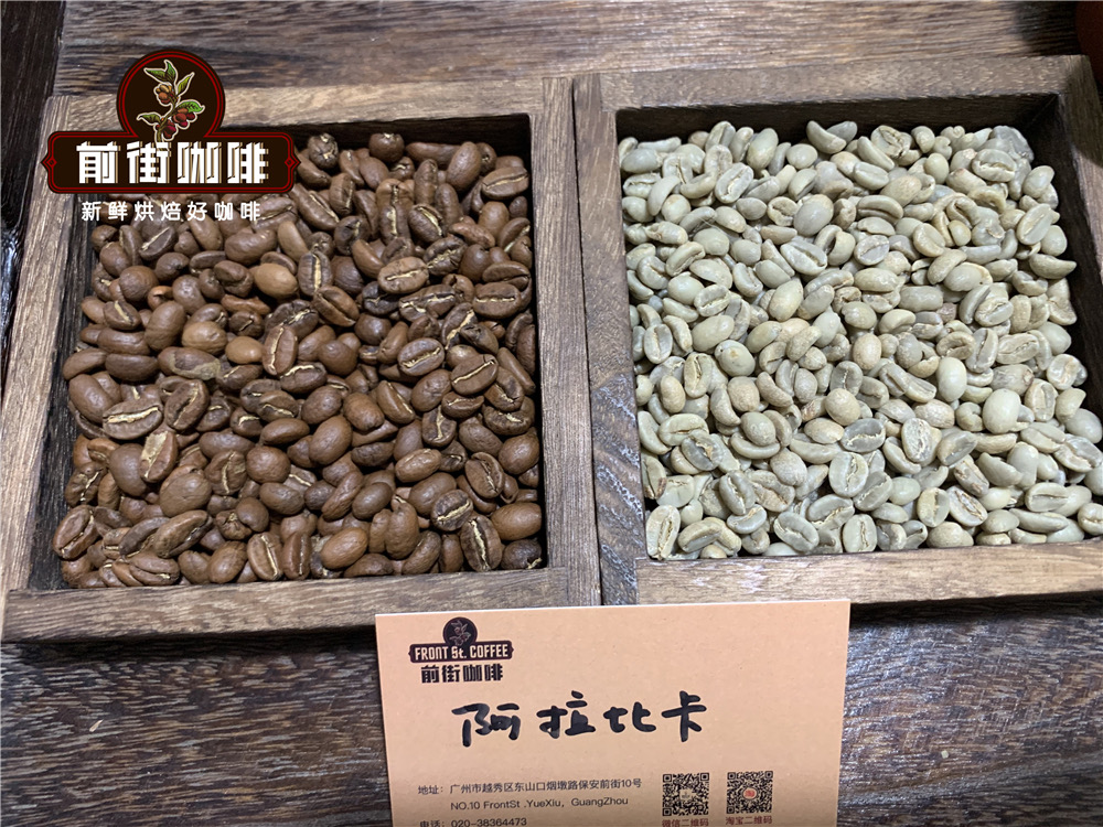 阿拉比卡种风味特征解释 阿拉比卡是什么品种|阿拉比卡咖啡豆的特点是什么