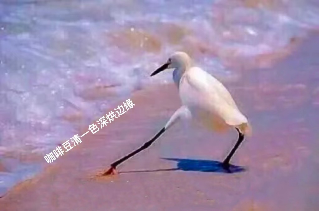 瑞幸的巴拿马SOE拿铁、Dirty咖啡好喝吗？卡杜拉卡杜艾咖啡品种风味口感特点描述
