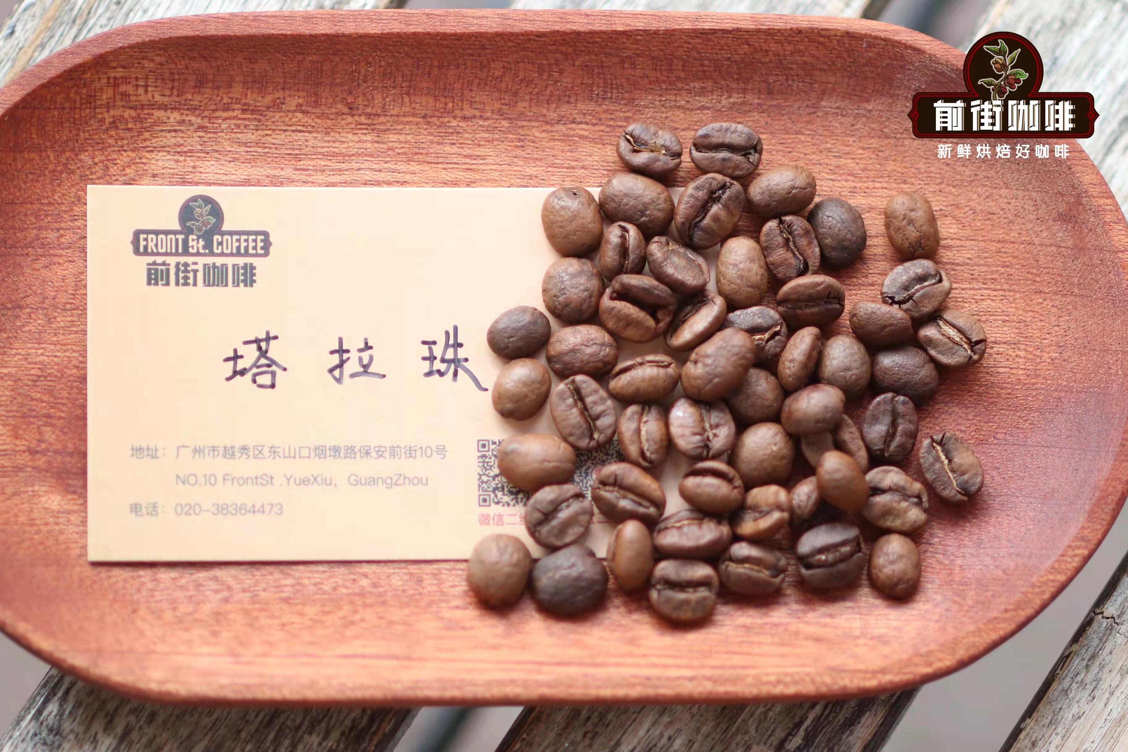 美洲特产哥斯达黎加咖啡专题产区介绍和手冲风味