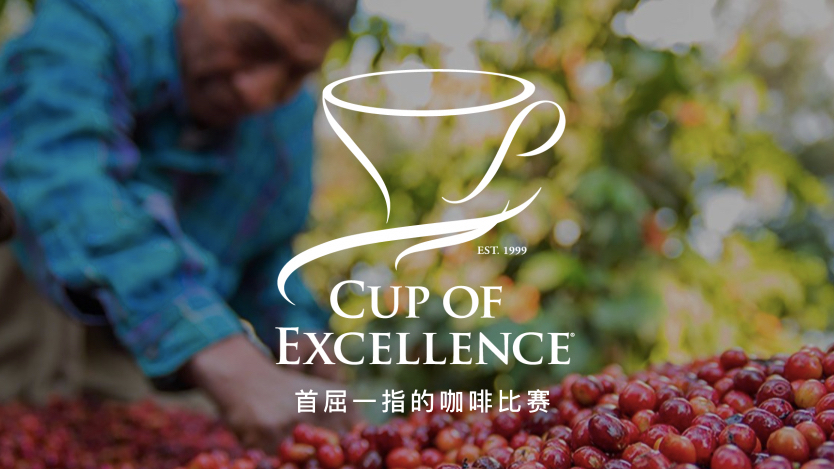 COE竞赛与咖啡杯测评分标准
