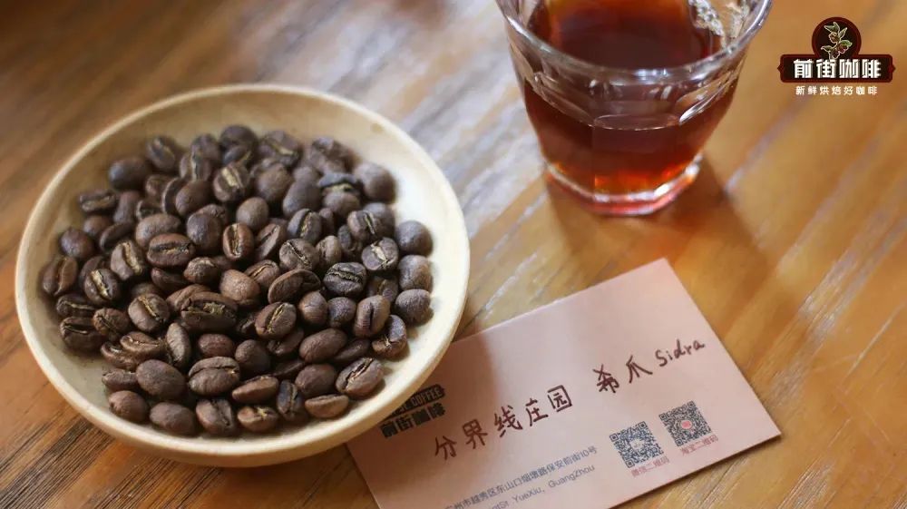 冠军希爪咖啡豆应该如何冲煮？哥伦比亚·分界线庄园的Sidra萃取要注意什么？