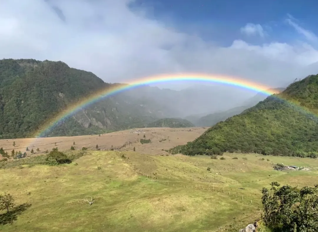 巴拿马咖啡豆｜沃肯产区90+公司瑰夏庄园朱丽叶咖啡豆介绍
