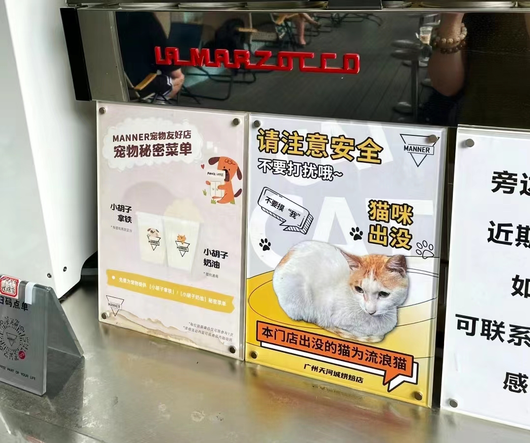 MANNER咖啡师收养流浪猫，变身成猫咪咖啡馆！