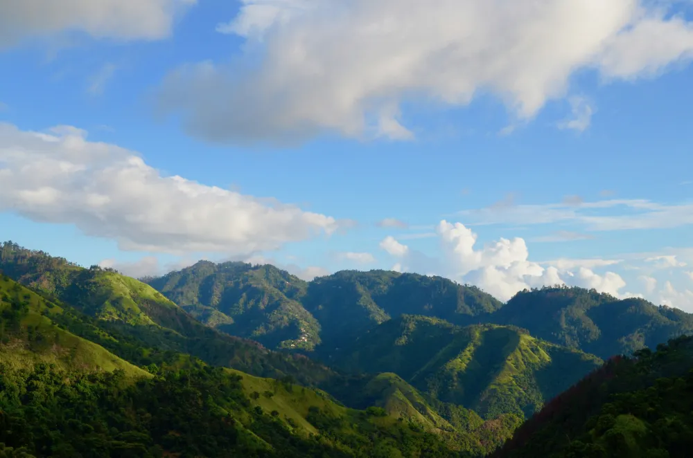 牙买加咖啡豆｜蓝山产区克利夫顿庄园蓝山一号铁皮卡咖啡豆介绍