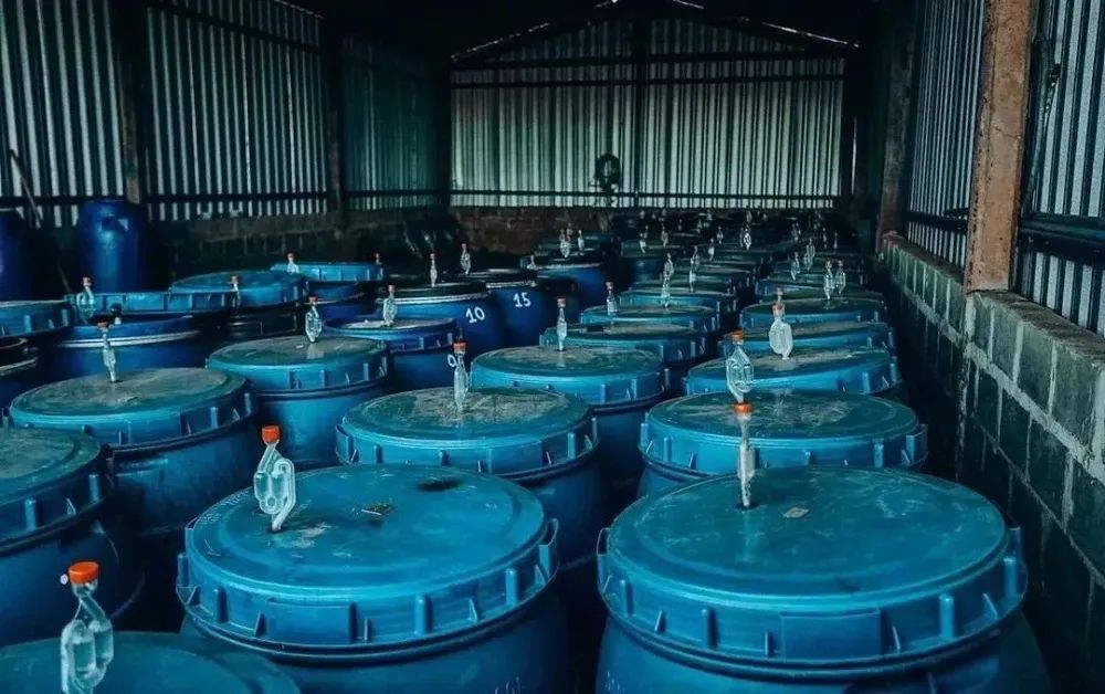 为什么现在的咖啡处理法越来越多？厌氧处理法是如何命名的？