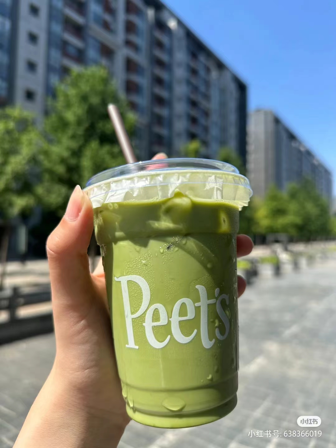 一口食欲全无？皮爷抹茶消费评价分两极