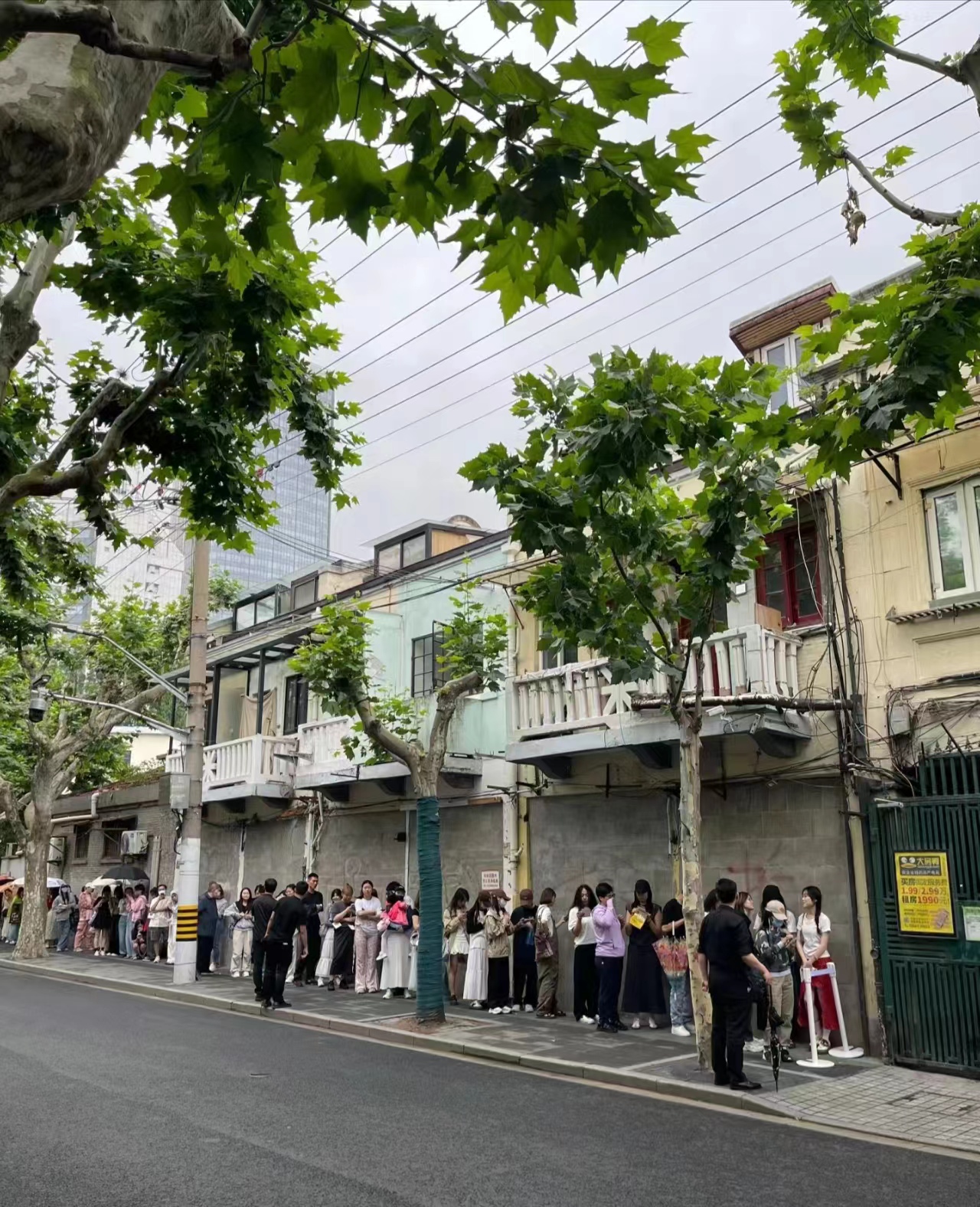 又有明星开咖啡店，这次轮到白敬亭！粉丝排队三小时！