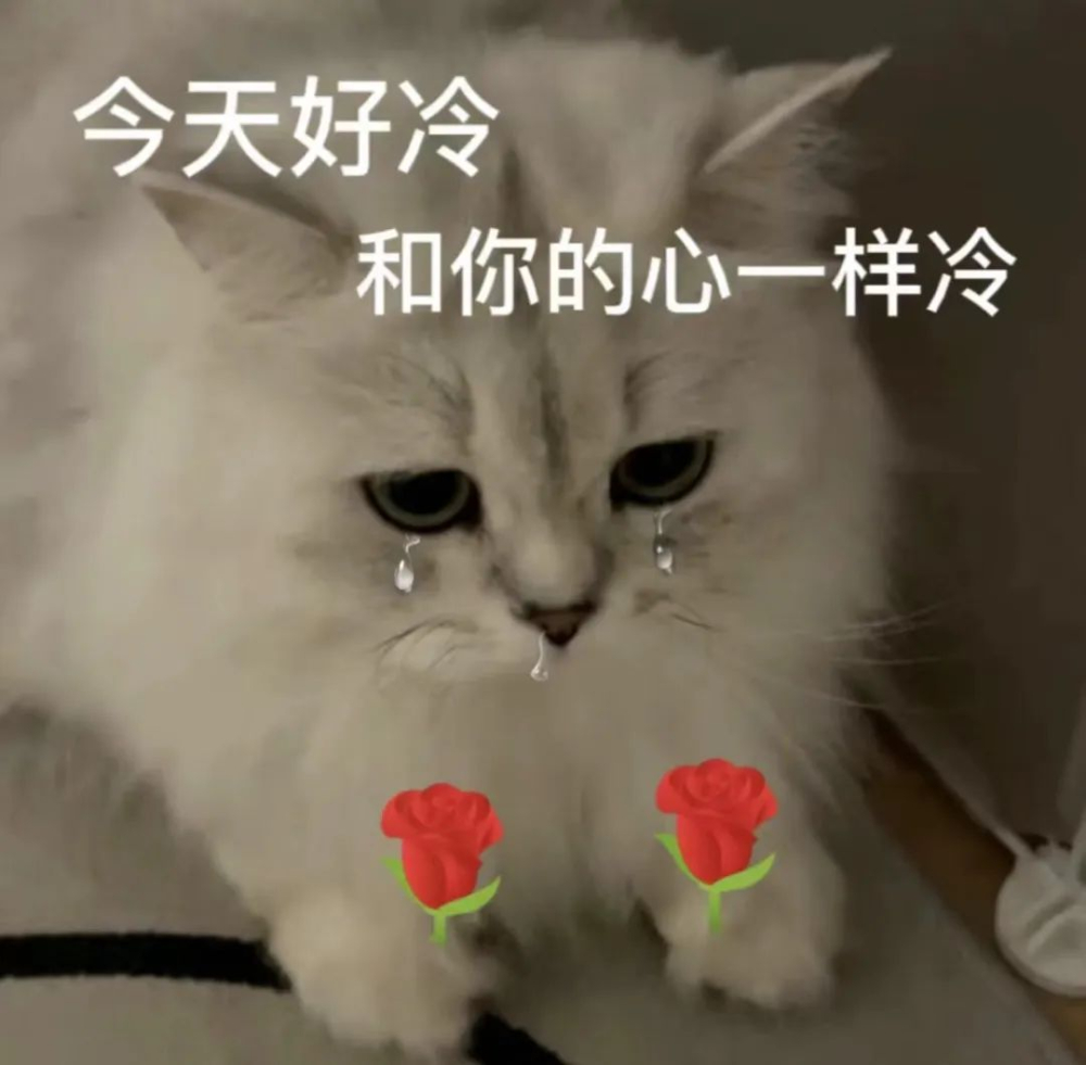 白嫖的咖啡冷知识：冰滴咖啡的由来，冷萃咖啡是谁发明的？阿拉比卡起源于哪里？