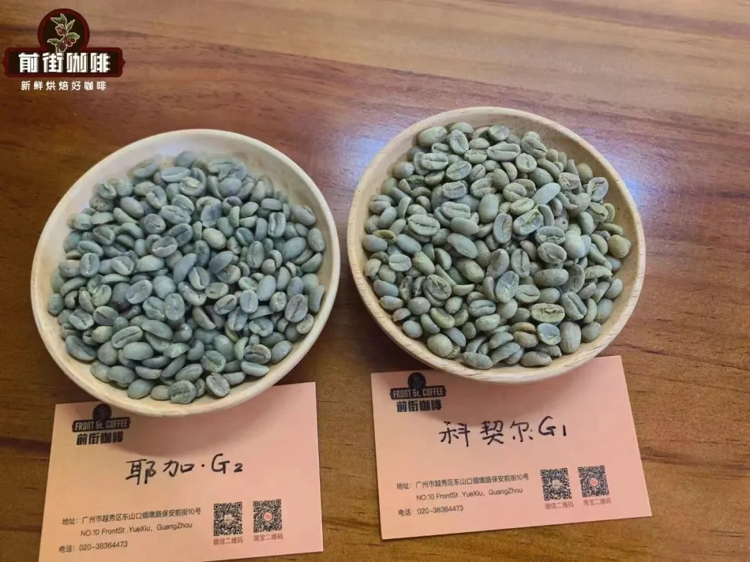 如何获取热带雨林联盟认证？什么是“青蛙豆”？蓝山咖啡的风味表现是什么？