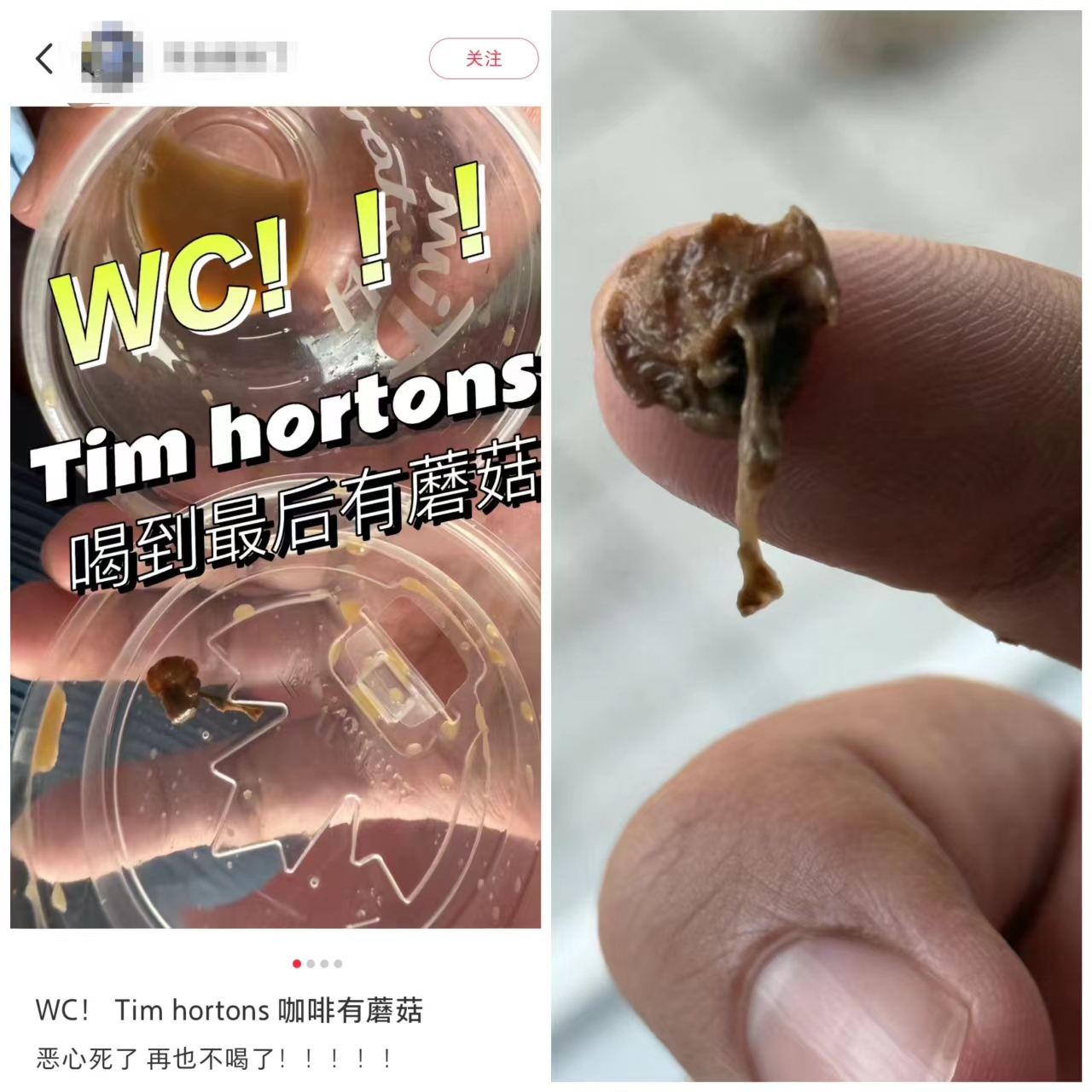 咖啡变“菌汤”！Tims杯底惊现蘑菇！