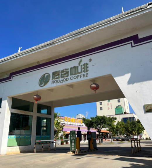 起死回生？！法院批准后谷咖啡重整计划！
