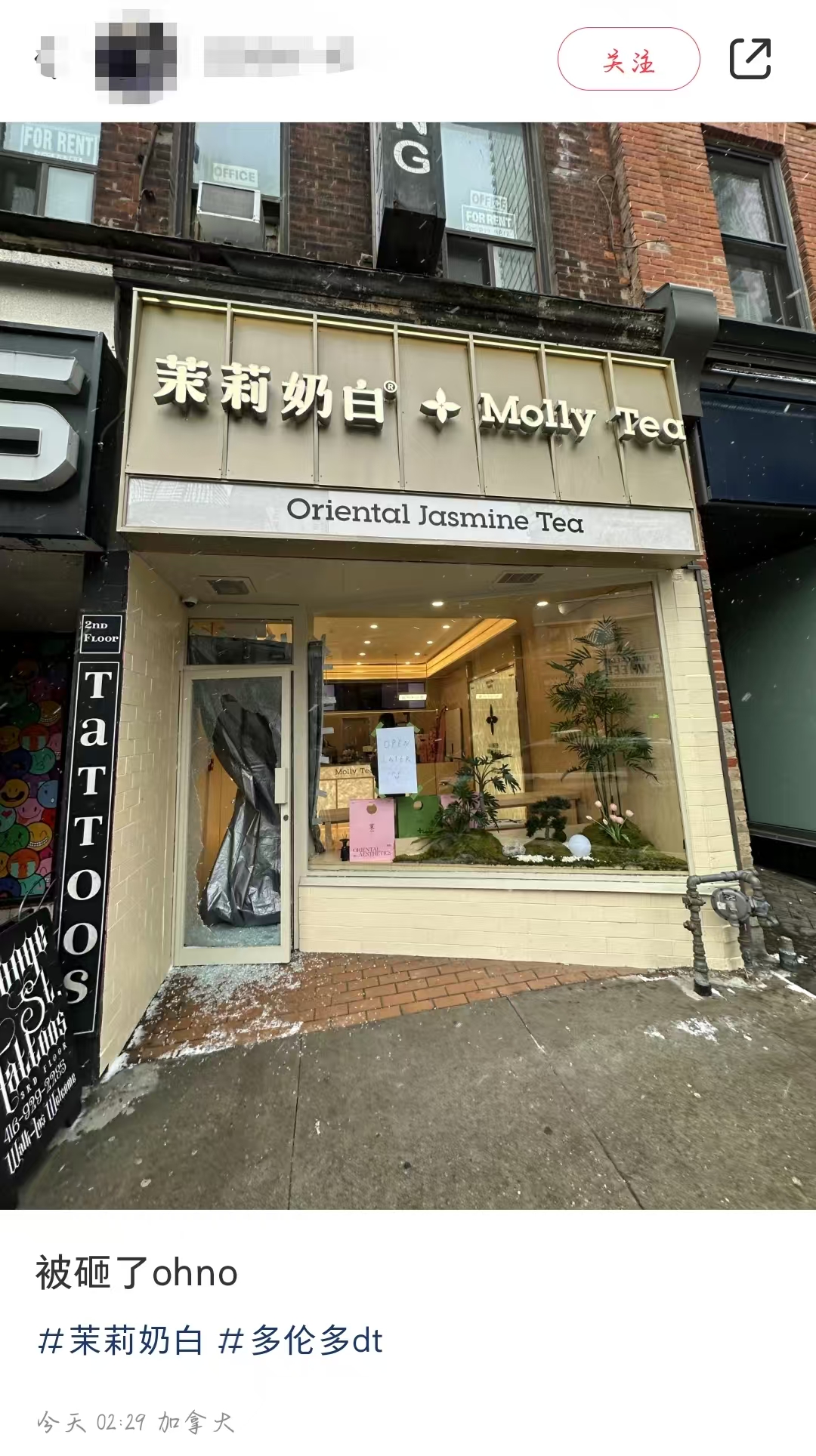 茉莉奶白多伦多首店被砸？！网友：茶话弄干的？