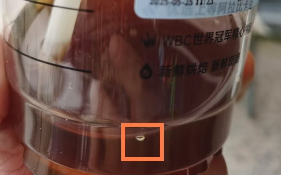 防不胜防！瑞幸疑似喝出蠕动活虫？！