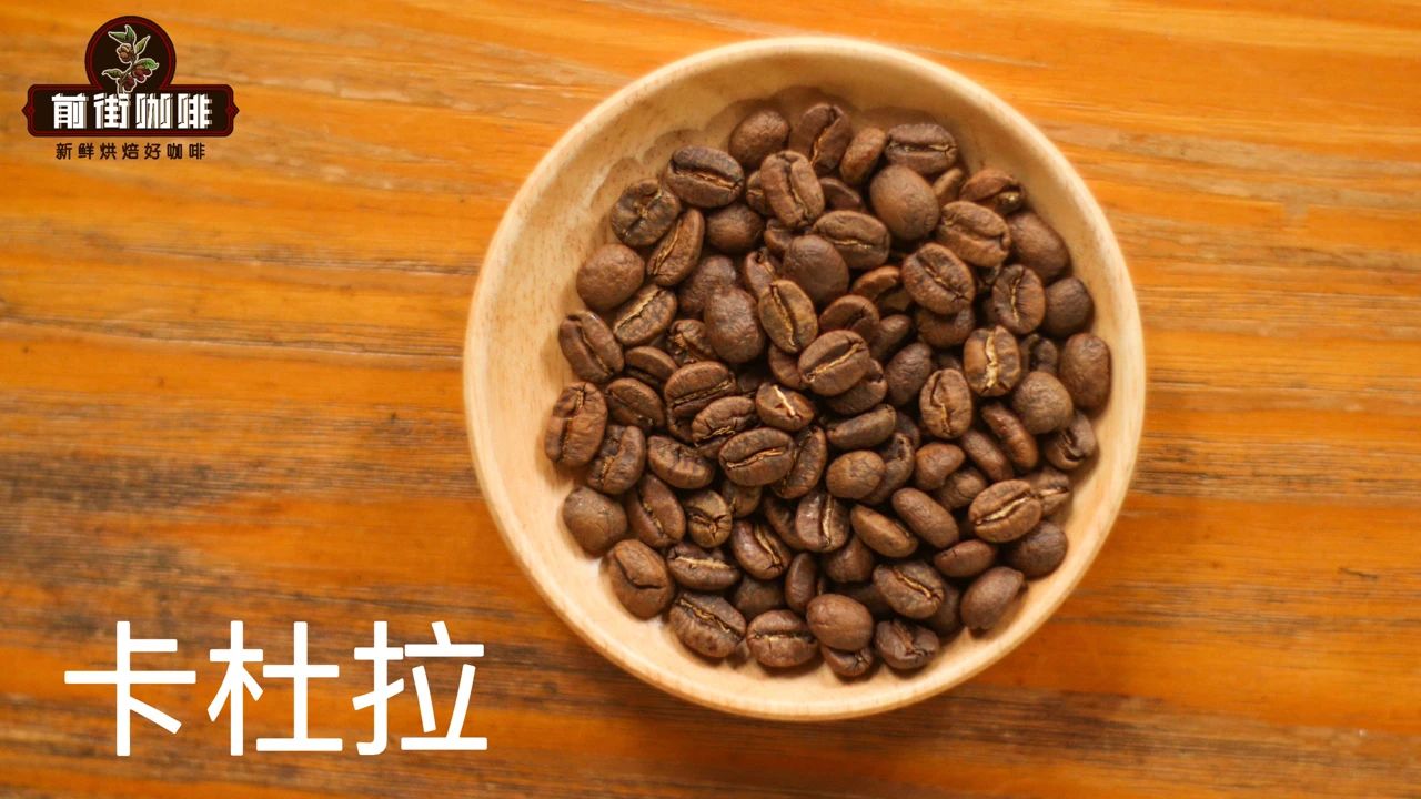 卡杜拉咖啡品种有什么特点 种植卡杜拉咖啡品种有什么优势？