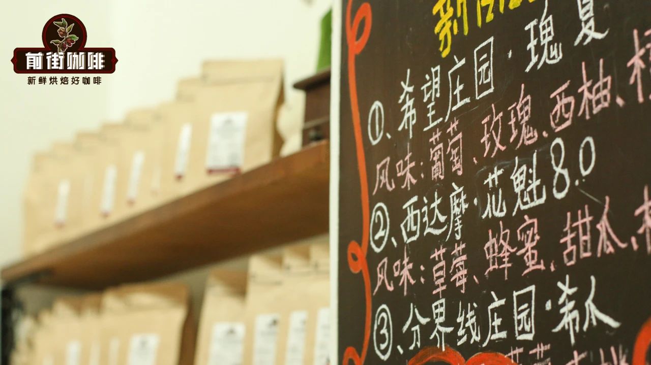 单品咖啡品牌推荐 手冲单品咖啡豆产区信息口感特点风味介绍