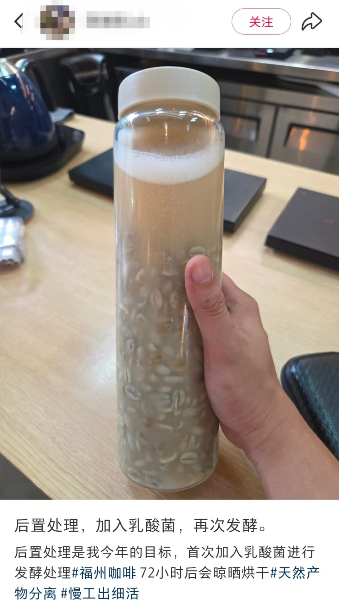 大开眼界！咖啡店对发芽咖啡豆再加工？！