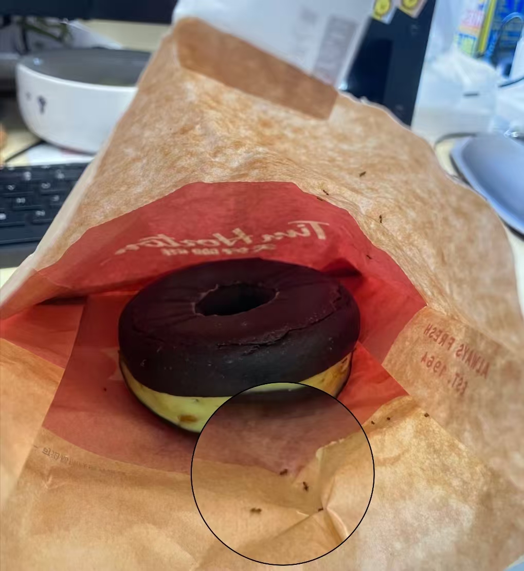 人麻了！连锁品牌贝果拆袋即见蚂蚁？！