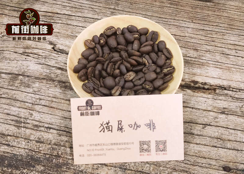猫屎咖啡豆是阿拉比卡咖啡吗 猫屎咖啡豆品种特点风味口感描述