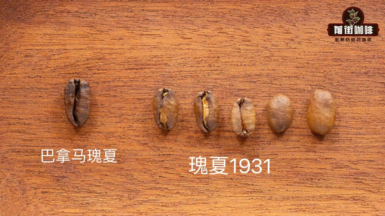 巴拿马咖啡豆特点和故事 咖啡豆分级、价格、生豆及烘焙曲线