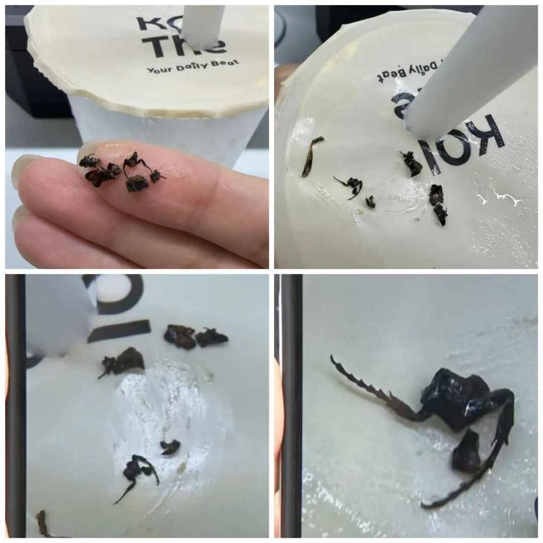知名茶饮被曝喝出虫！品牌方：可走法律程序