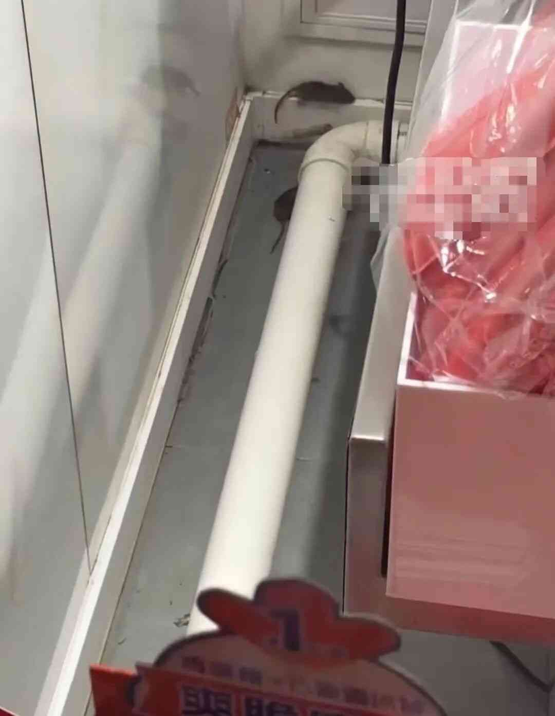 门店被曝老鼠乱窜！蜜雪冰城紧急致歉！