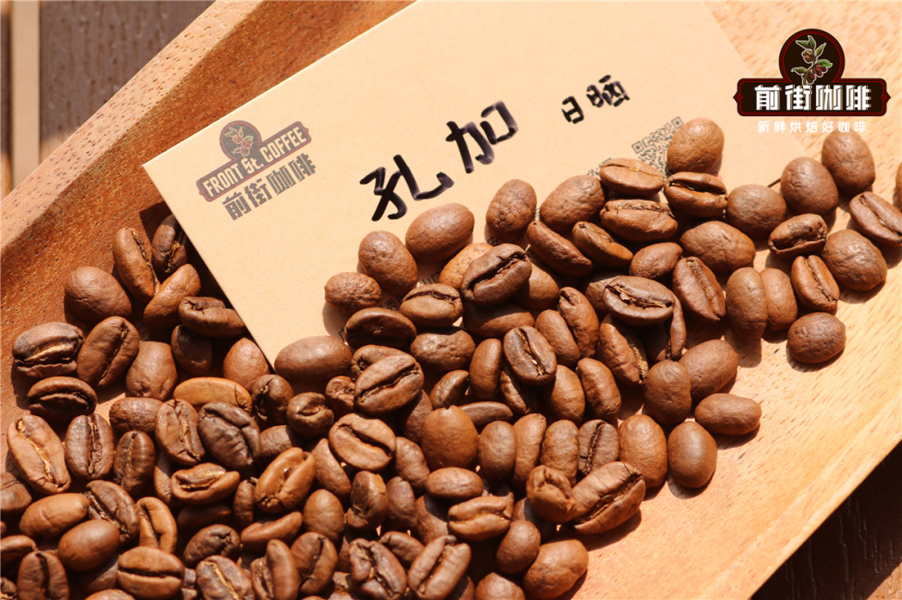 孔加日晒耶加雪菲咖啡豆手冲好喝吗_手冲日晒耶加咖啡太苦了怎么办