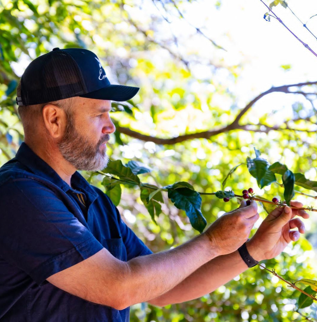 精品咖啡豆推荐 巴拿马瑰夏咖啡 巴拿马获奖庄园瑰夏咖啡手冲测评
