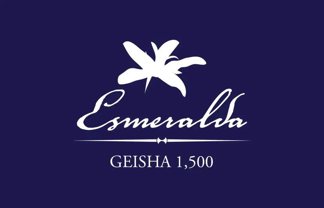 巴拿马瑰夏蓝标咖啡产区介绍 瑰夏蓝标咖啡怎么冲泡 蓝标等级