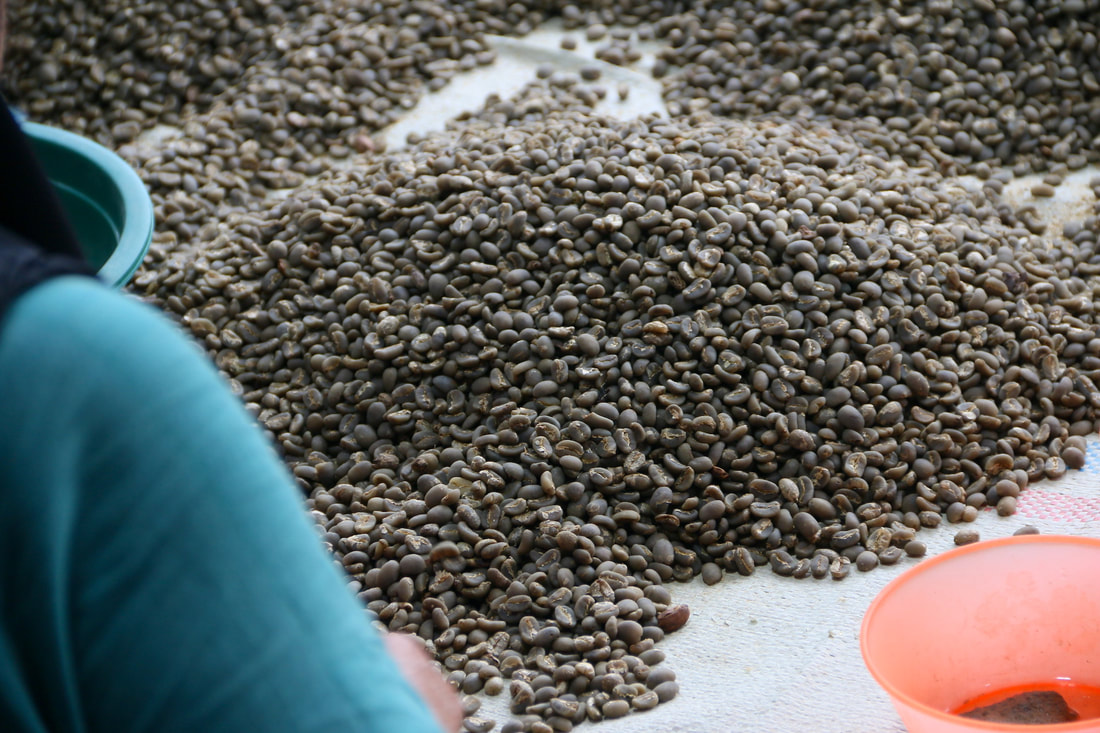 苏门答腊咖啡产区及庄园、咖啡产地 苏门答腊曼特宁咖啡豆信息讲解