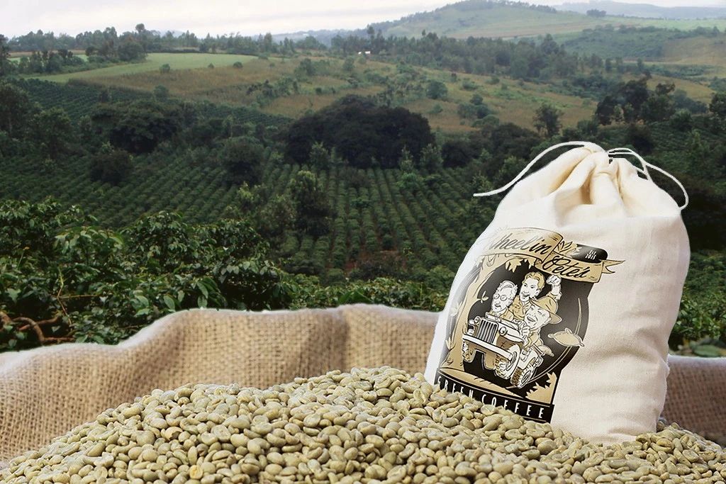 坦桑尼亚咖啡地域风味特点 坦桑尼亚咖啡等级划分指南