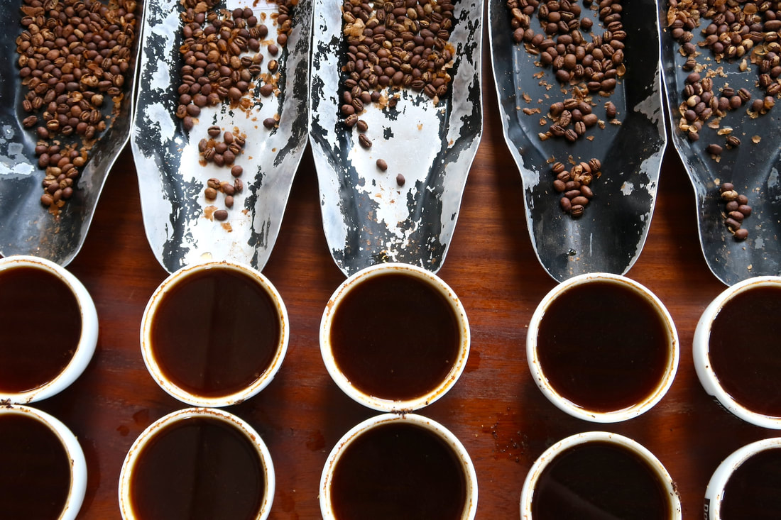 肯尼亚咖啡分级制度是什么？肯尼亚AA TOP跟肯尼亚AA有什么区别？