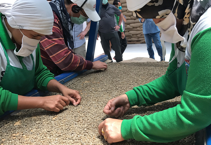 咖啡文化常识 曼特宁的名字是如何得来的？曼特宁咖啡出自哪里？