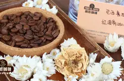 巴西咖啡的种类 巴西豆主要品种分类介绍 巴西咖啡特点