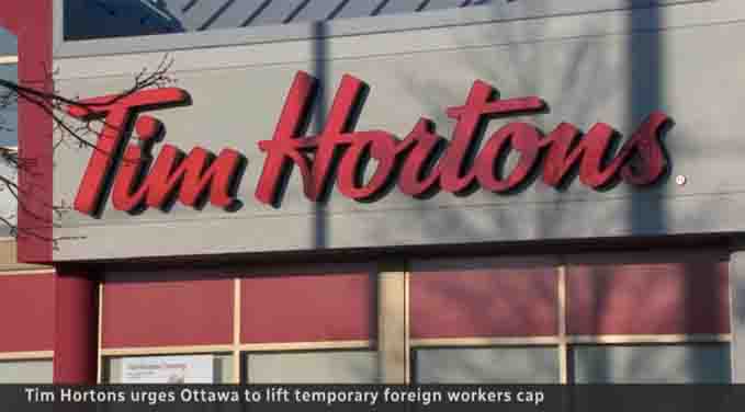 离谱！Tims向联邦政府施压要求放宽外劳入境？！