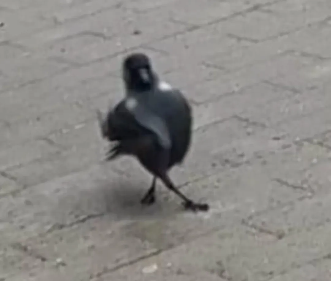 人一天能喝多少杯咖啡？一杯咖啡有多少咖啡因？400毫克咖啡因是多少杯咖啡？