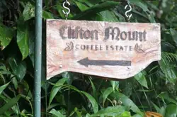 世界上最古老的蓝山庄园 瓦伦福德 正宗蓝山咖啡庄园有哪些